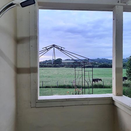 Off Grid Rosie Sheperd Hut And Summerhouse Plus 1 Acre At Tanyrallt Leilighet Llanybyther Eksteriør bilde